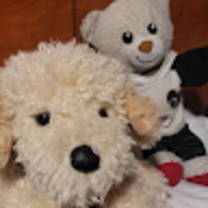 Meet your Posher, Don